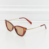 Full Rim Sunglasses In Dark Brown