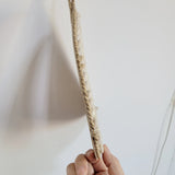 The Alondra: Yacht Shell Wall Hanging